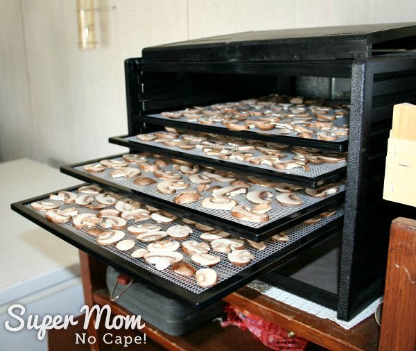 Dehydrating Mushrooms - Simple How To Instructions - Simple How To