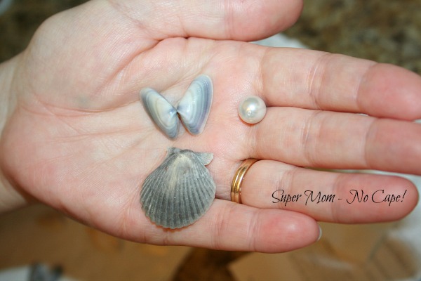 20 Beautiful DIY Sea Shell Home Decor and Gift Ideas