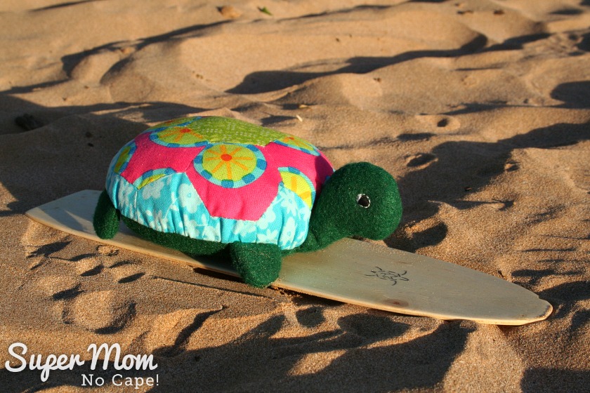 Lexie the Hexie Turtle on her surf board