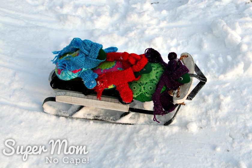 Sled and turtles at the bottom of the sledding hill